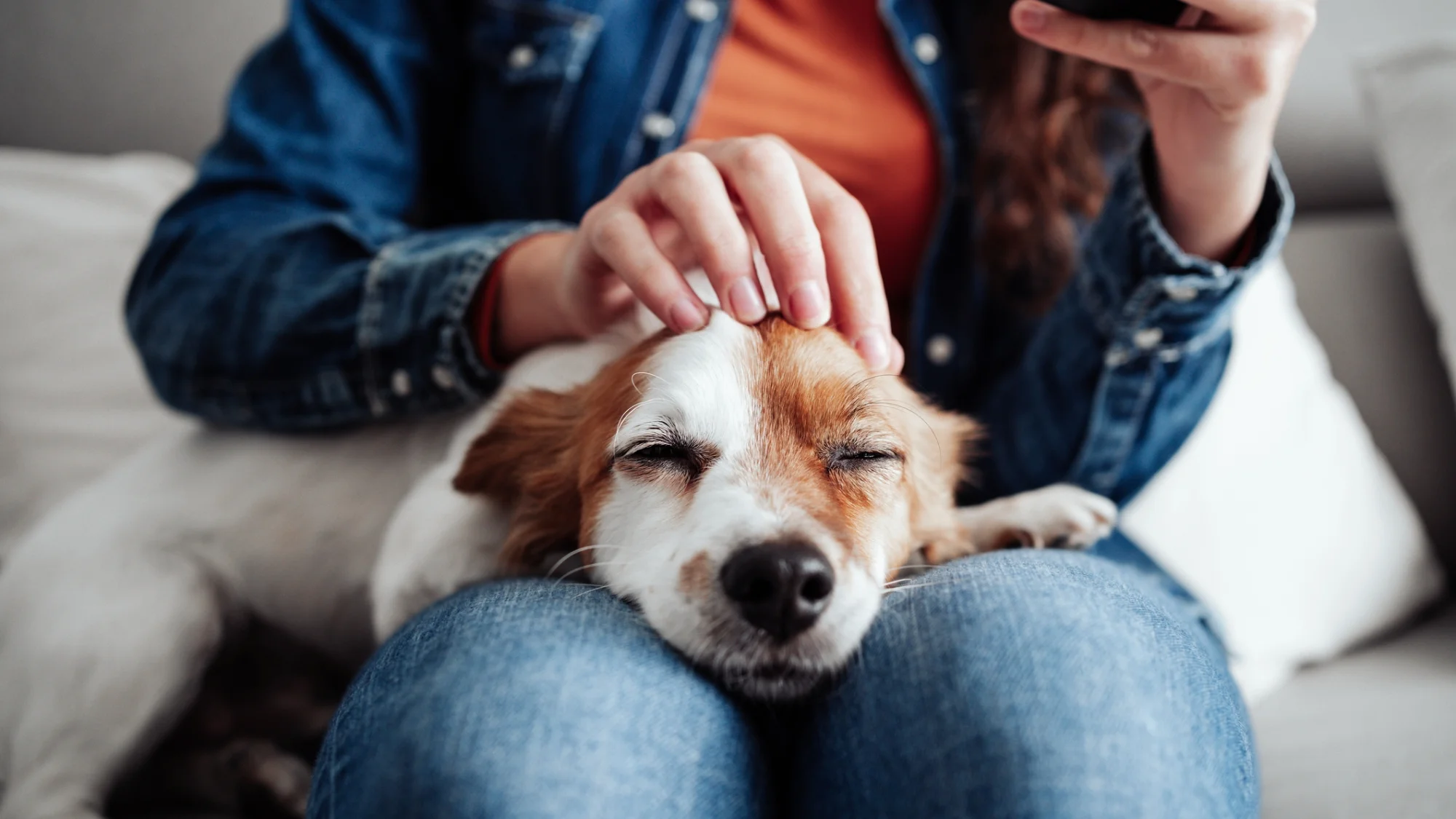 Gifts for animal lover woman